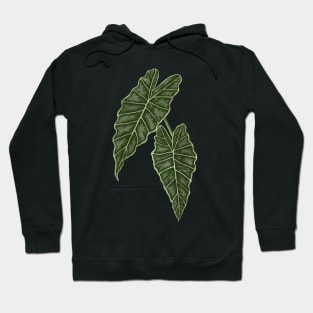 Alocasia Polly Green Leaves Hoodie